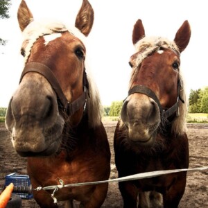 Max & Allu