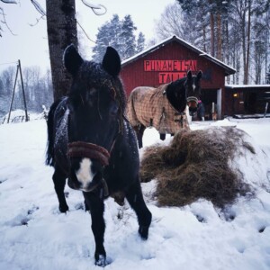 Nasu & Kapu heinillä