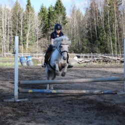 Hemppa hyppää